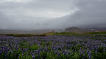 Island 2015 – Die erste Etappe