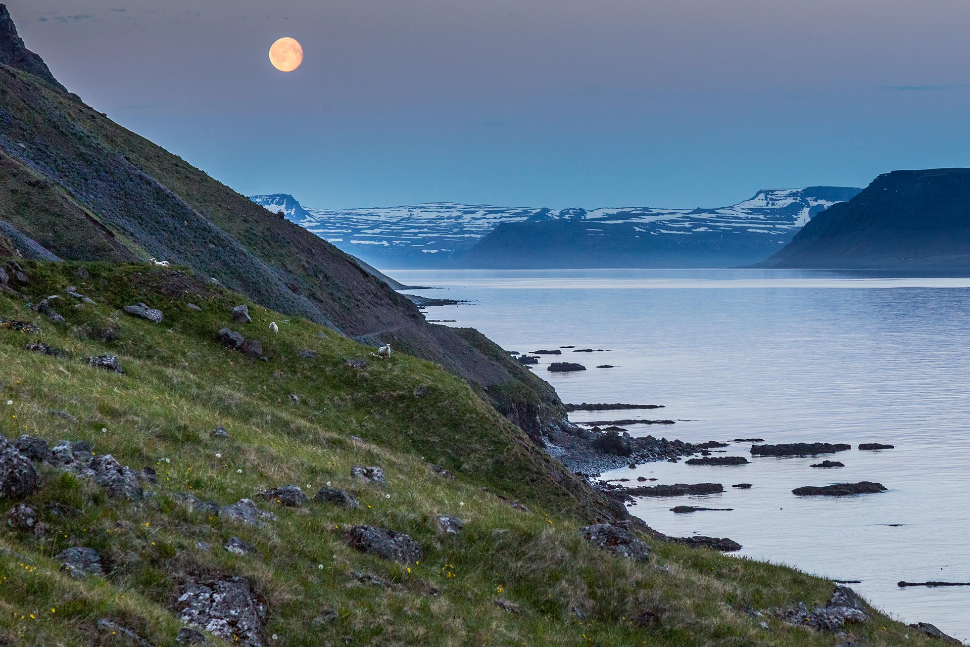 Island 2015 – Die Westfjorde – Teil II
